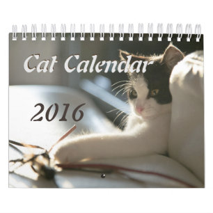 Kattkalender Kalender