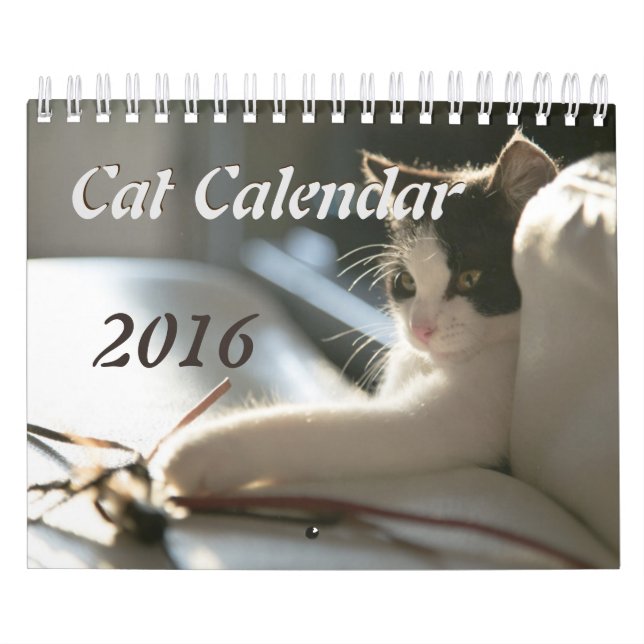 Kattkalender Kalender (Omslag)