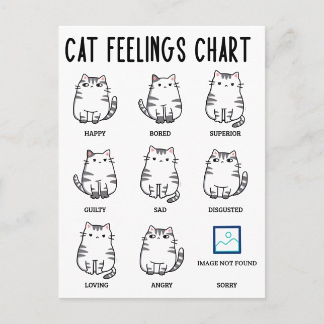 Kattkänslighetsdiagram Vykort (Framsida)