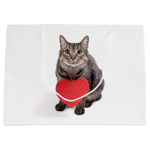 Kattkärlek