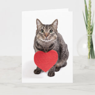 Kattkärlek Helgkort