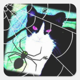 KattKattSpindelNät Fyrkantigt Klistermärke