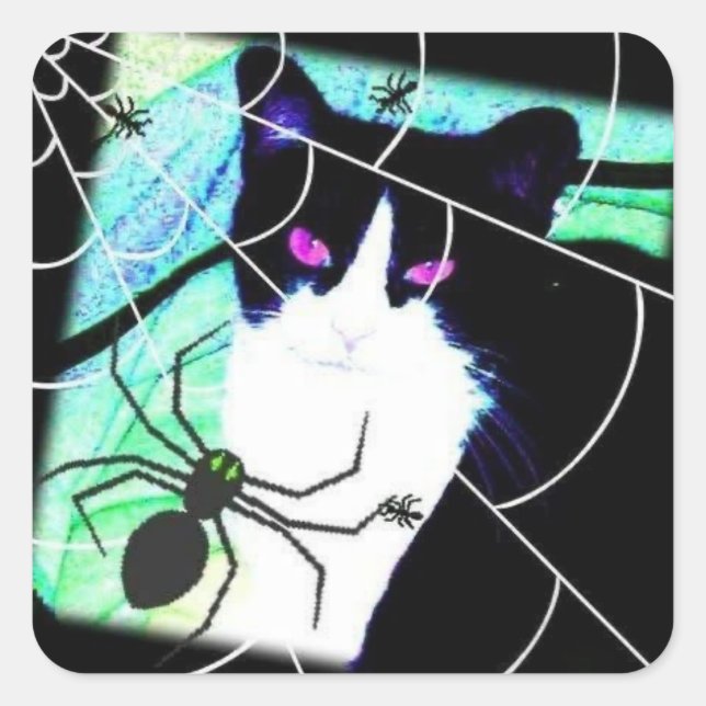 KattKattSpindelNät Fyrkantigt Klistermärke (Framsida)