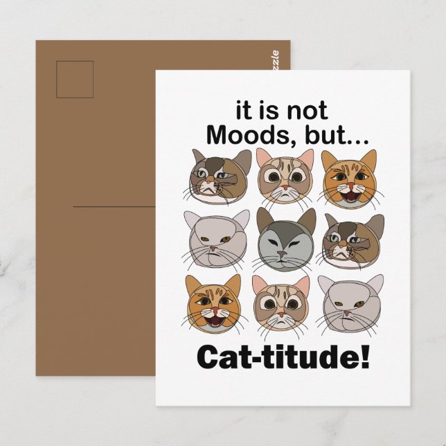 Kattkattuneeringar för kattälskare vykort (Fram/baksida)