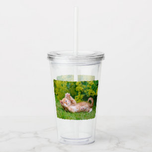 Kattkattunge leker i en blomsterträdgård take away mugg