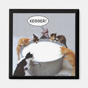 KattKegger magnet