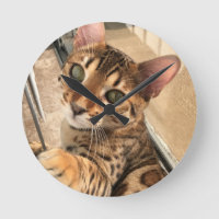 Kattklocka