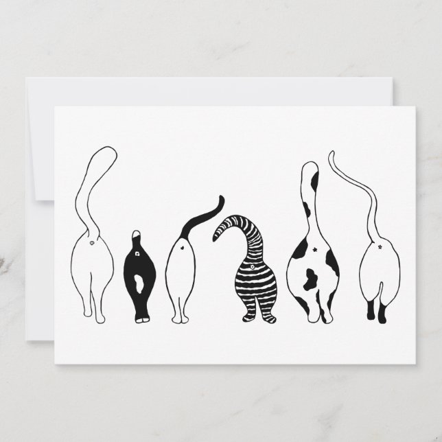 Kattknapp Inbjudningar (Framsida)