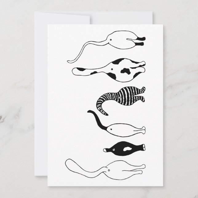 Kattknapp Julkort (Framsida)