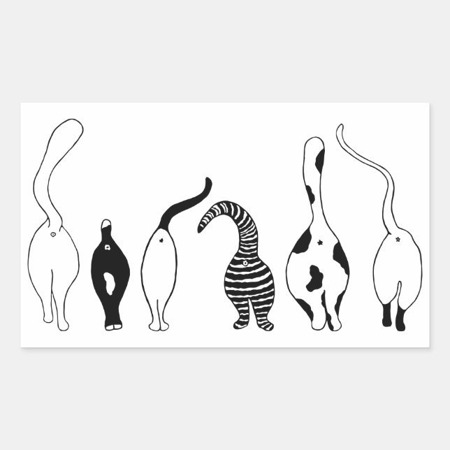 Kattknapp Rektangulärt Klistermärke (Framsida)