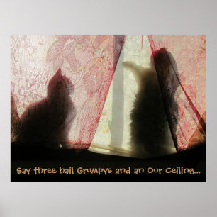 Kattkonflikter Poster