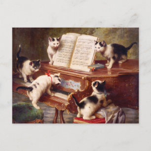 Kattkonst: Kattens skäl Vykort