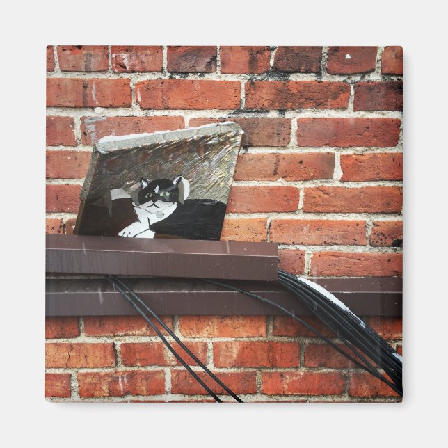 kattkonst magnet (Framsidan)