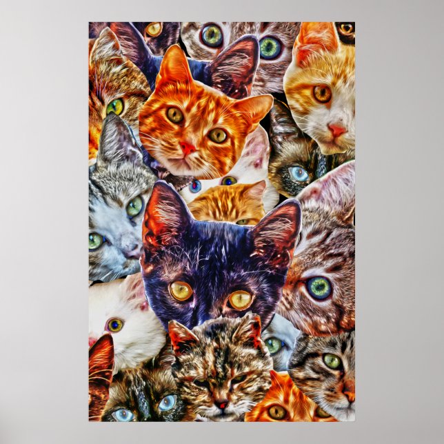 Kattkonst Mönster Poster (Framsidan)