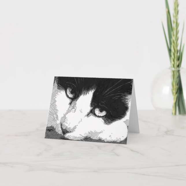 Kattkonst noterar kortet kort (Framsida)