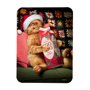 Kattkonsumtionsägg Magnet