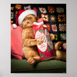 Kattkonsumtionsägg Poster