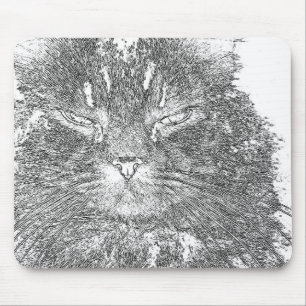 Kattkontur Musmatta