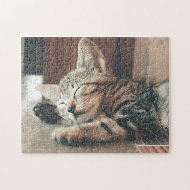 Kattkoppor Kattbitalt Fotografi på djur Pic Cat Pussel (Horisontell)