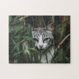 Kattkoppor Kattbitalt Fotografi på djur Pic Cat Pussel