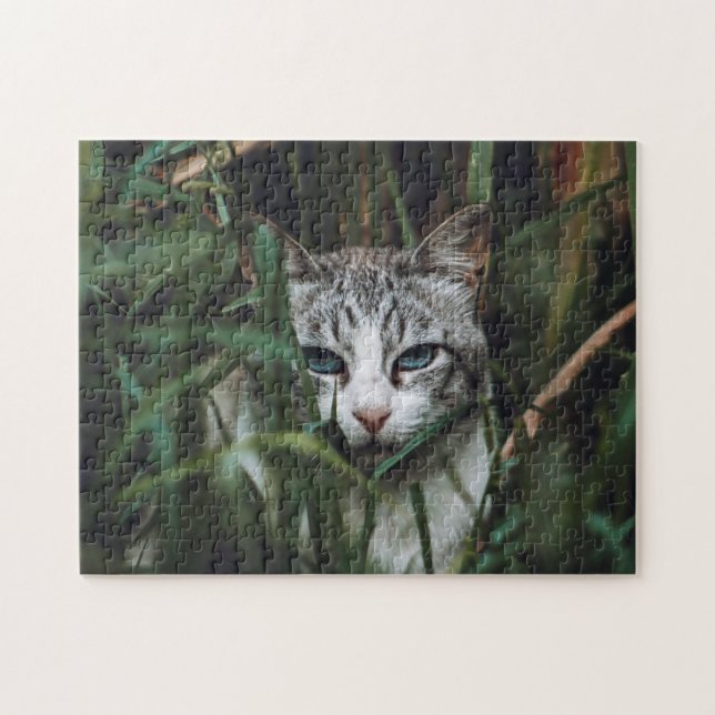 Kattkoppor Kattbitalt Fotografi på djur Pic Cat Pussel (Horisontell)