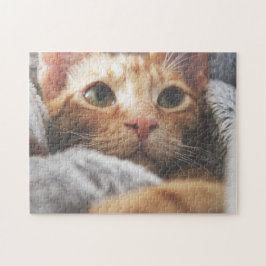 Kattkoppor Kattbitalt Fotografi på djur Pic Cat Pussel