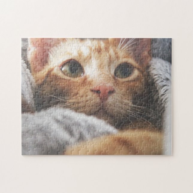 Kattkoppor Kattbitalt Fotografi på djur Pic Cat Pussel (Horisontell)