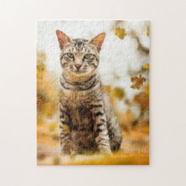 Kattkoppor Kattbitalt Fotografi på djur Pic Cat Pussel