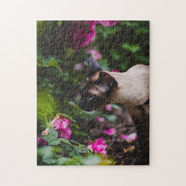 Kattkoppor Kattbitalt Fotografi på djur Pic Cat Pussel (Vertikal)