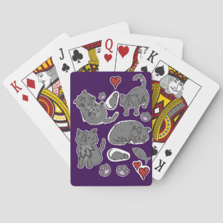 kattkort casinokort