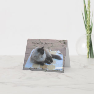 Kattkort för minneskort kort