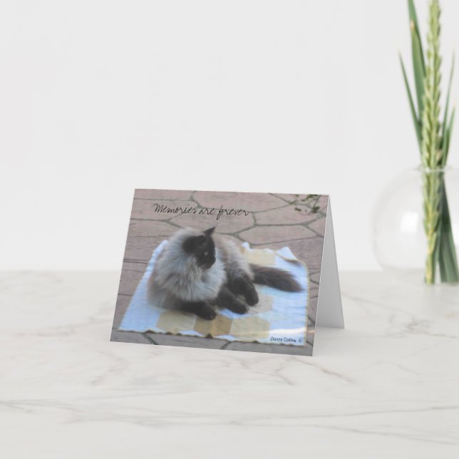 Kattkort för minneskort kort (Framsida)