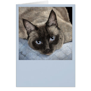 Kattkort för siamesiska - "Mocha" OBS Kort