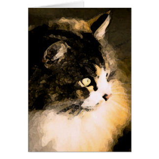 Kattkort Hälsningskort