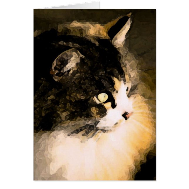 Kattkort Hälsningskort (Framsidan)