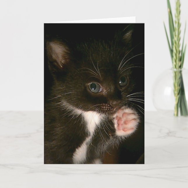 Kattkort Kort (Framsida)