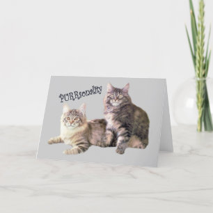 Kattkort, PURR-sonalitet Tack Kort