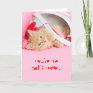 Kattkött kattvalentin helgkort