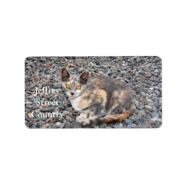 Kattkuddfodral Adressetikett (Framsidan)