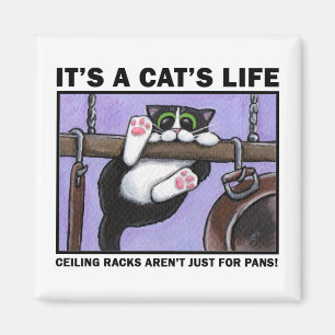Kattkugge v.01 - det är en katt livmagneter magnet