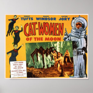 Kattkvinnor av måneaffischen poster