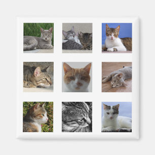 Kattkylskåp, magnet