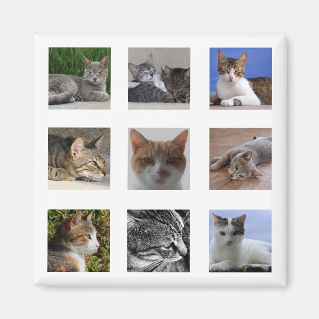 Kattkylskåp, magnet (Framsidan)