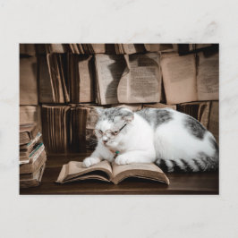 Kattläsning i glasögon efter korsning vykort