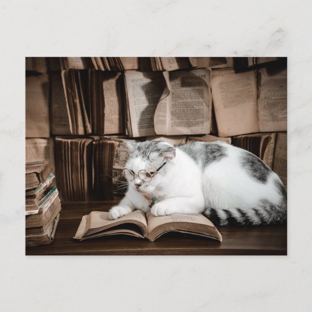 Kattläsning i glasögon efter korsning vykort (Framsida)