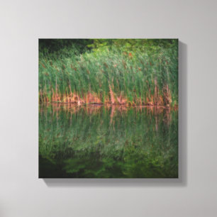 Kattlektioner vid Pond Orton Effekt Canvastryck