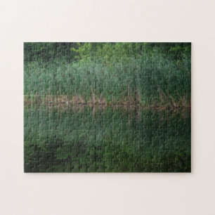 Kattlektioner vid Pond Orton Effekt Pussel