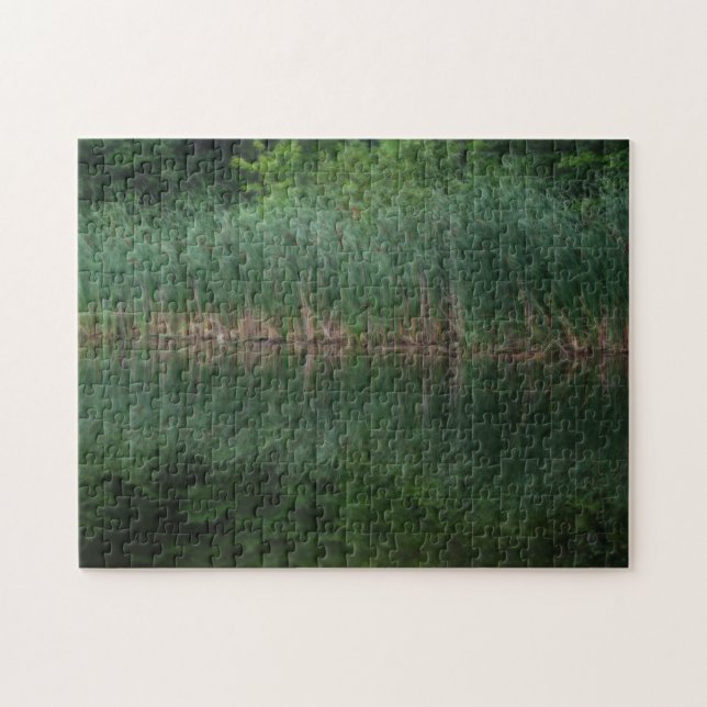 Kattlektioner vid Pond Orton Effekt Pussel (Horisontell)