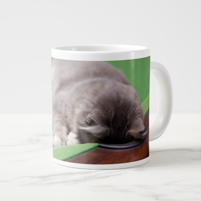 Kattleve spelar Bassäng Jumbo Mugg (Framsida höger)