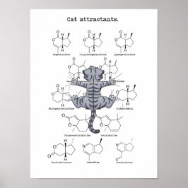 Kattlockmedel Poster